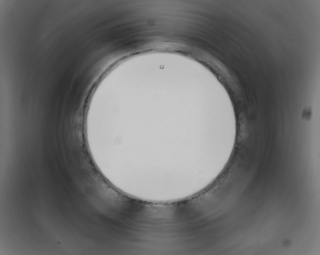 X0000101470836200807071217