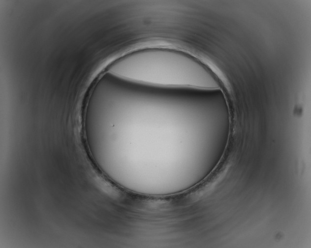 X0000101470837200807071217