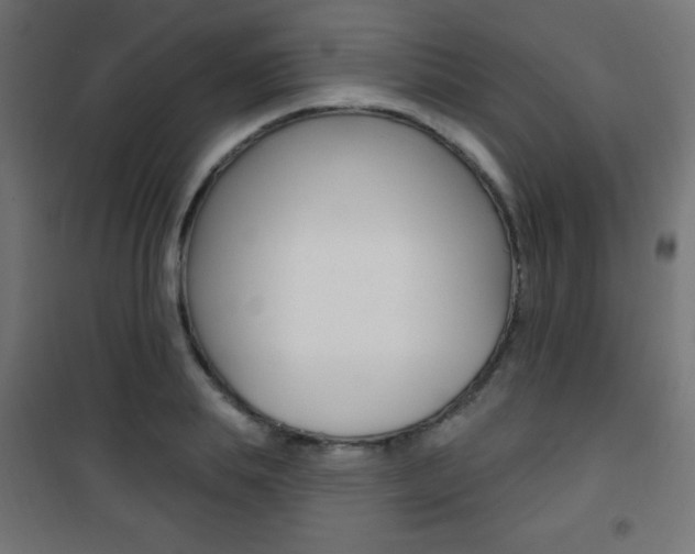X0000101470839200807071217