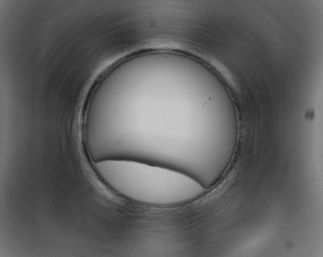 X0000101470840200807071217