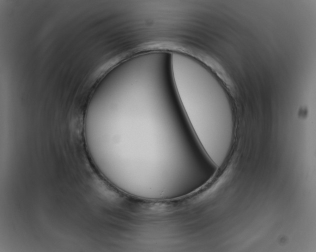 X0000101470841200807071217