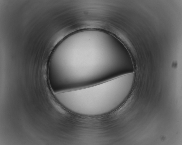X0000101470842200807071217