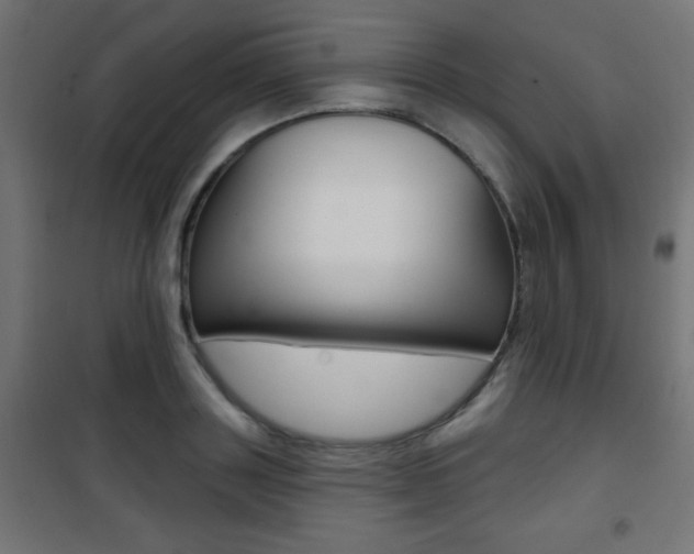 X0000101470843200807071217