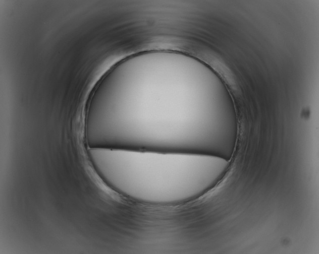 X0000101470844200807071217