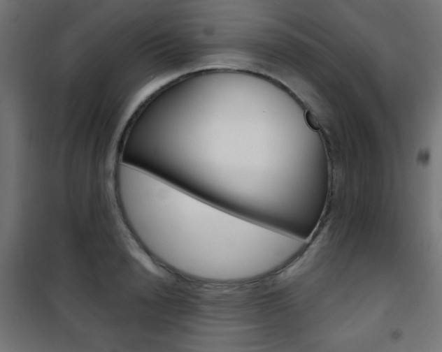 X0000101470846200807071217