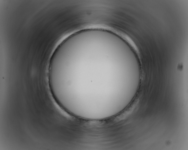 X0000101470847200807071217
