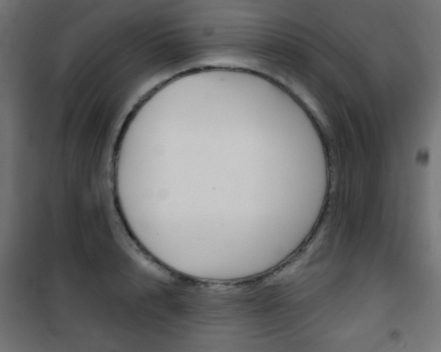 X0000101470848200807071217