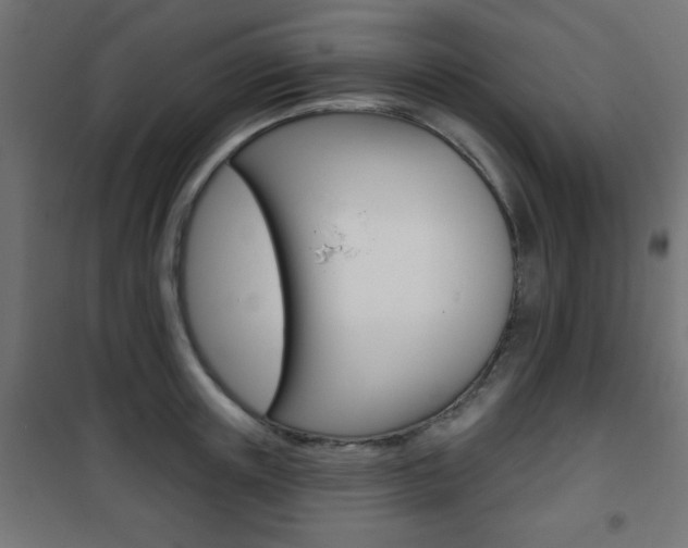 X0000101470851200807071217