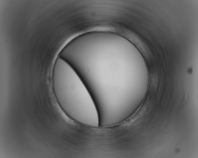 X0000101470852200807071217
