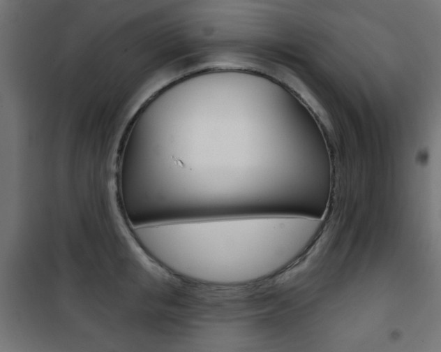 X0000101470853200807071217