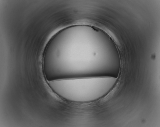 X0000101470854200807071217