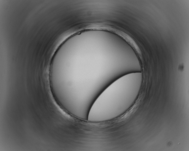 X0000101470855200807071217