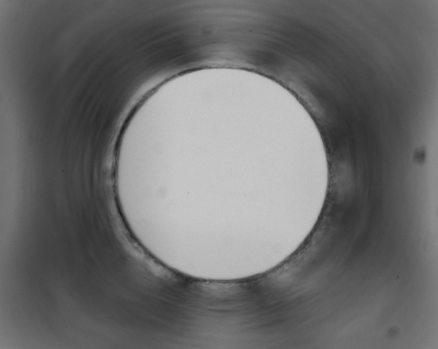 X0000101470856200807071217