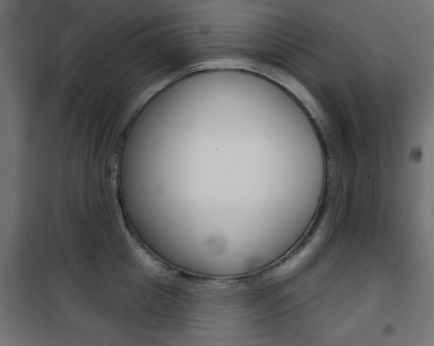 X0000101470857200807071217