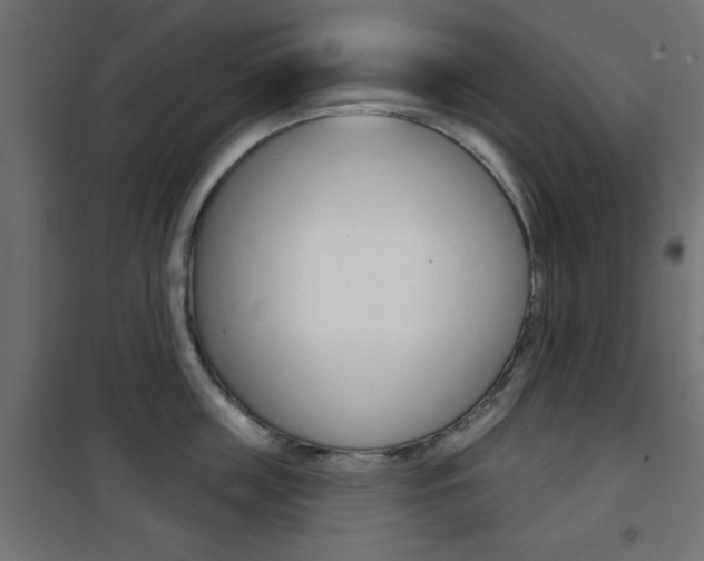 X0000101470859200807071217