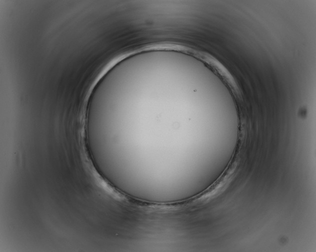 X0000101470860200807071217
