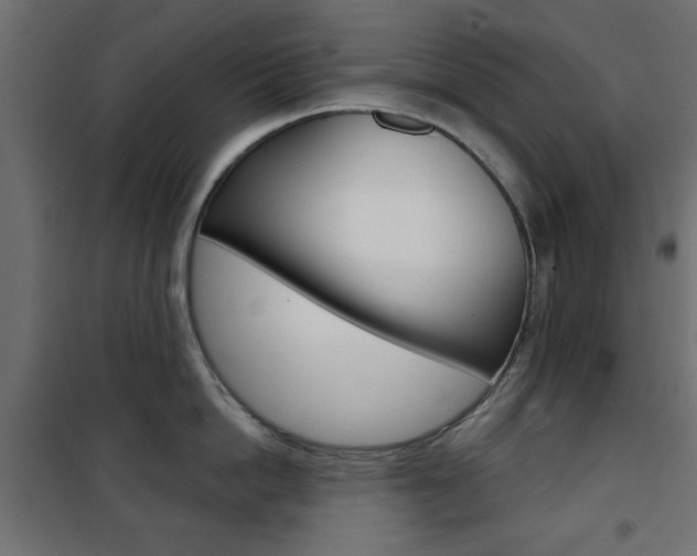 X0000101470862200807071217