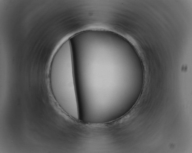 X0000101470864200807071217
