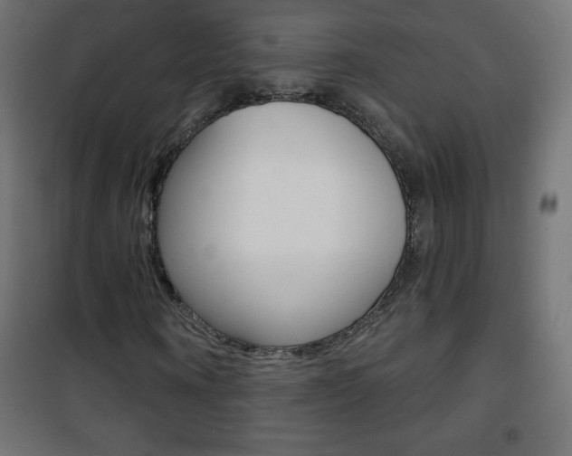 X0000101470866200807071217