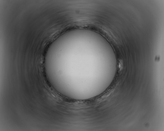 X0000101470867200807071217