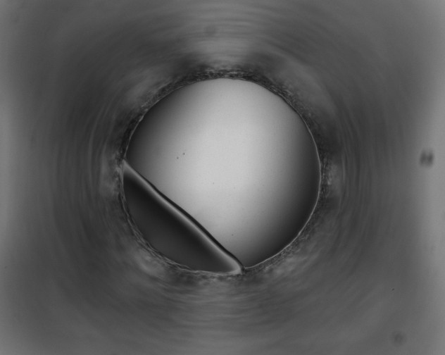 X0000101470868200807071217