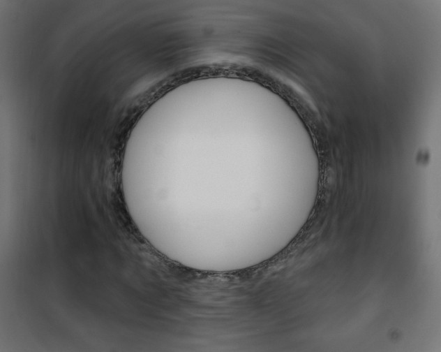 X0000101470869200807071216