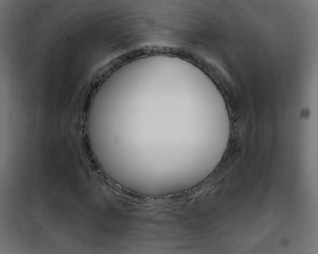 X0000101470870200807071216