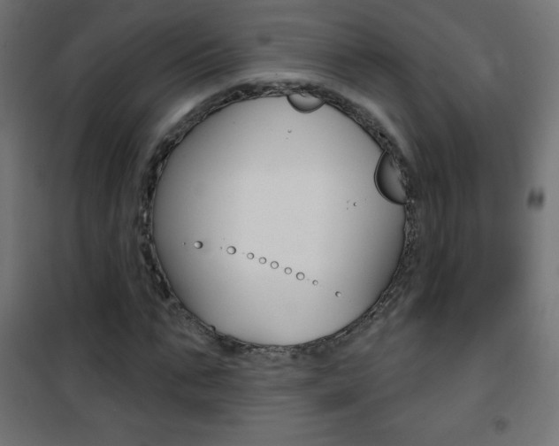 X0000101470871200807071216
