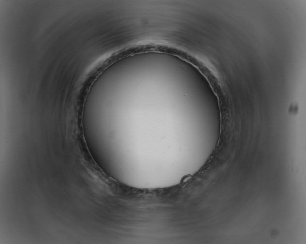 X0000101470872200807071216