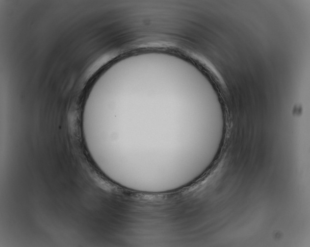 X0000101470874200807071216