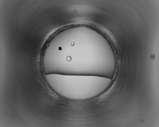 X0000101470875200807071216