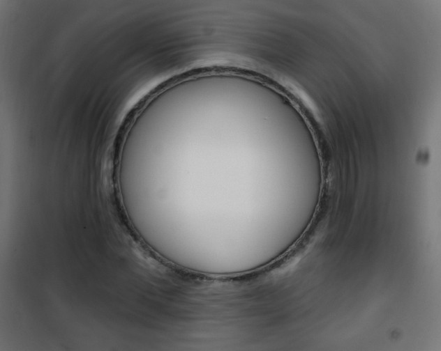 X0000101470877200807071216