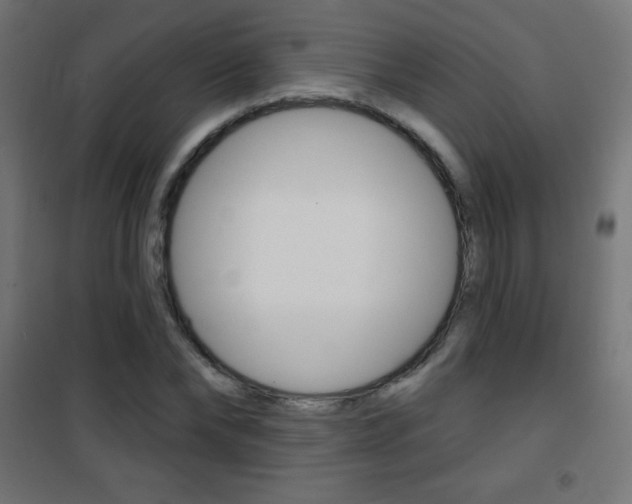 X0000101470878200807071216