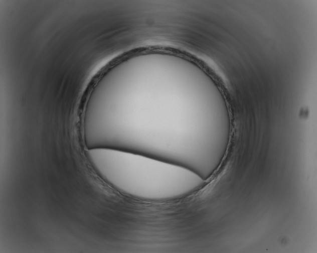 X0000101470879200807071216