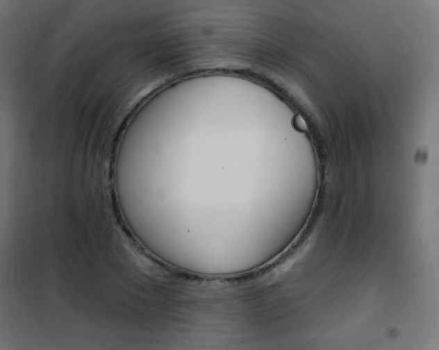 X0000101470881200807071216