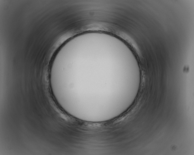 X0000101470882200807071216