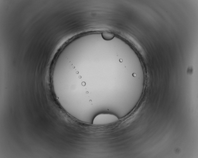 X0000101470883200807071216