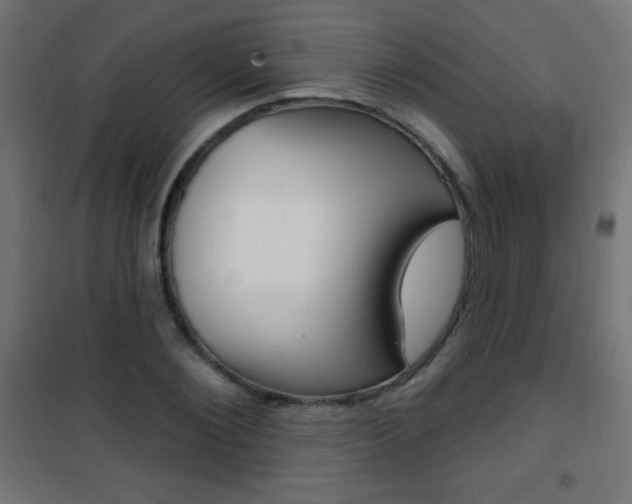X0000101470884200807071216