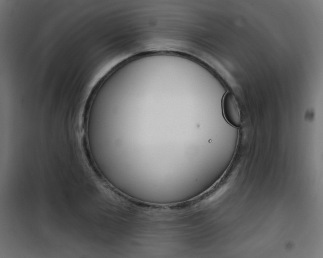 X0000101470885200807071216