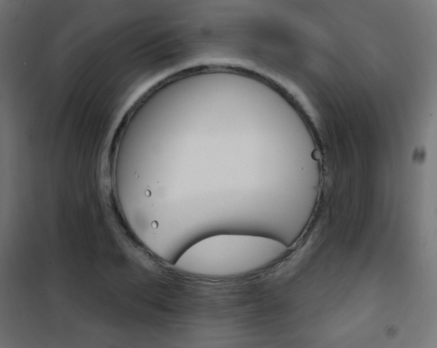 X0000101470887200807071216