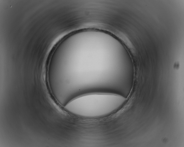 X0000101470888200807071216
