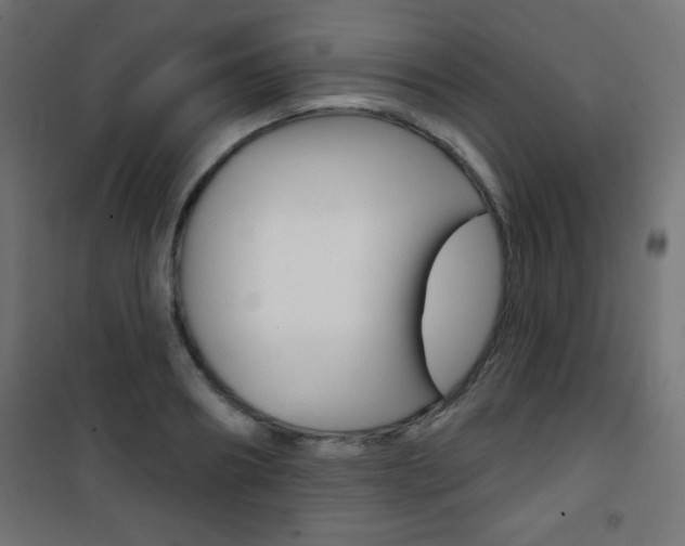 X0000101470890200807071216