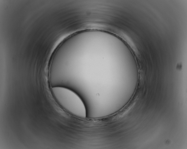 X0000101470891200807071216
