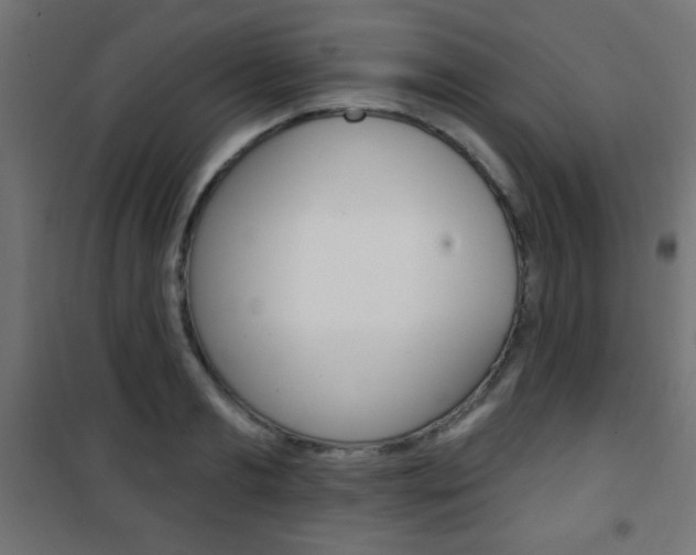 X0000101470893200807071216