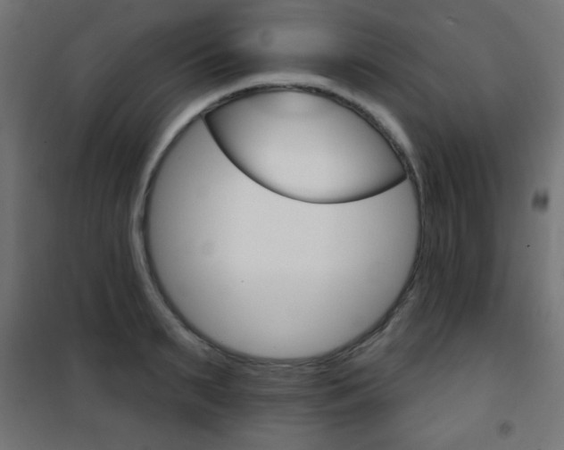 X0000101470895200807071216