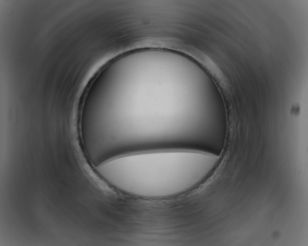 X0000101470896200807071216