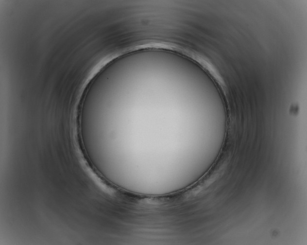 X0000101470898200807071216