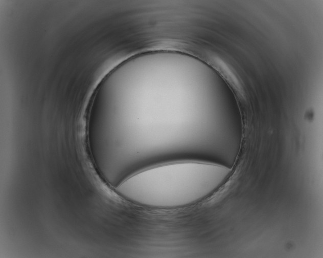 X0000101470900200807071216