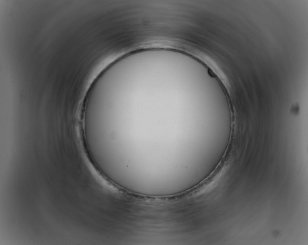 X0000101470901200807071216