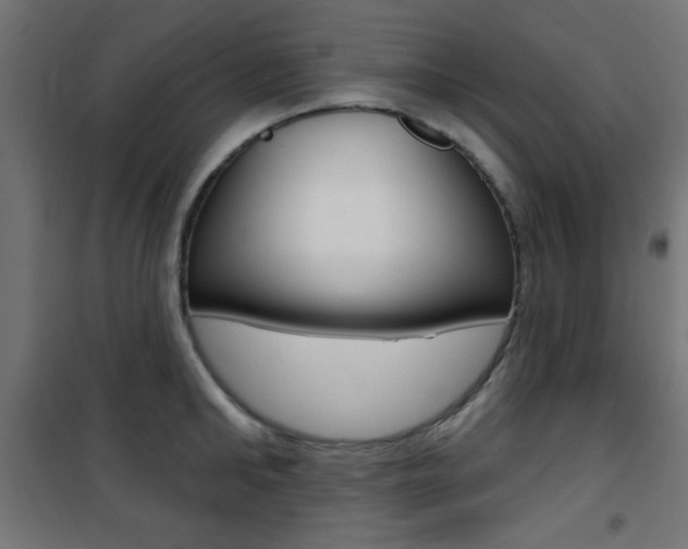 X0000101470902200807071216